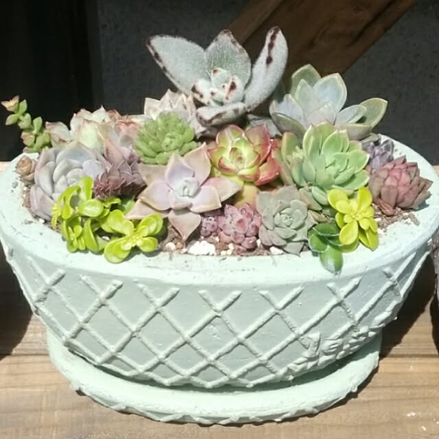 j.tさんの実例写真