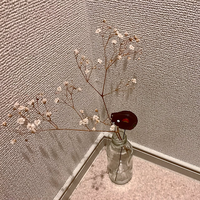 Ayaさんの実例写真