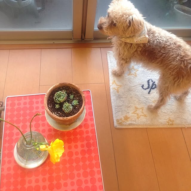 yさんの実例写真