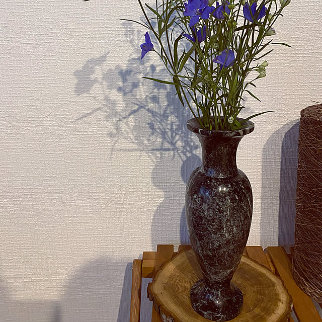 mikaさんの実例写真