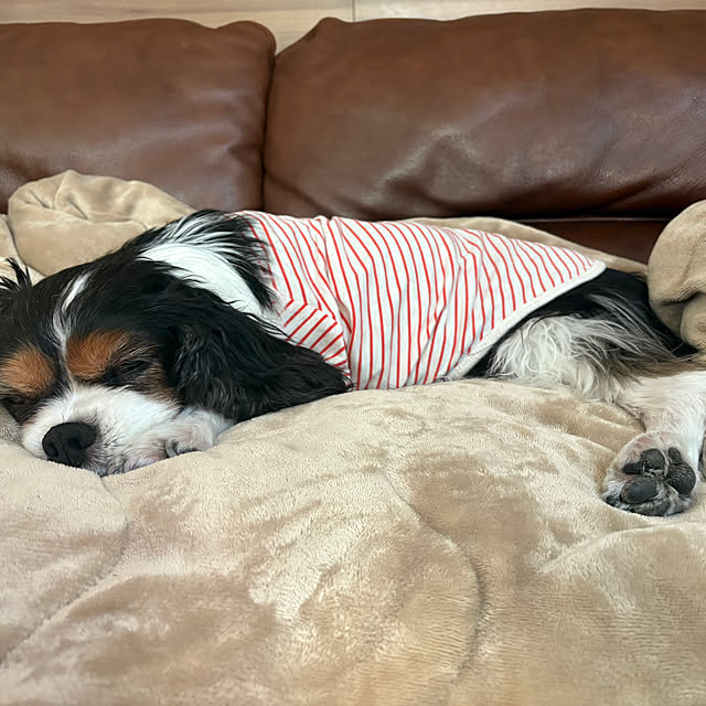 you.sansさんの部屋