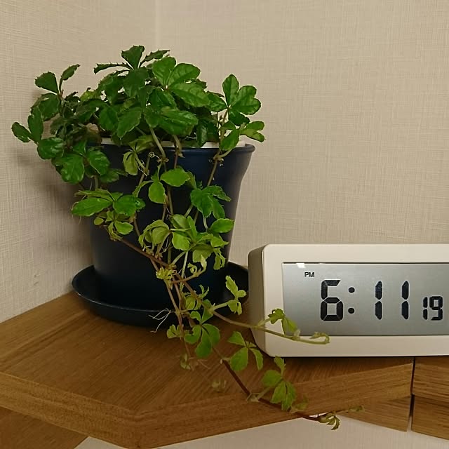 Makikoさんの実例写真