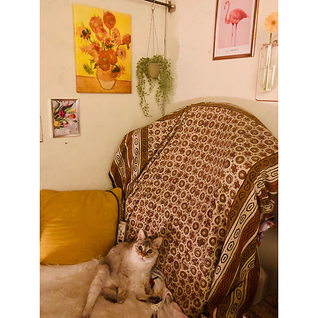 asamiiii1120さんの実例写真