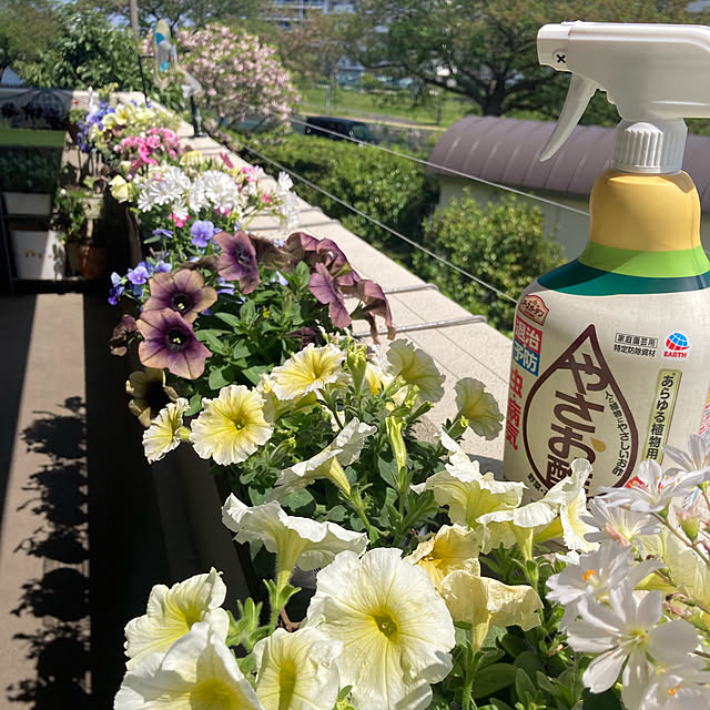 marukoさんの実例写真