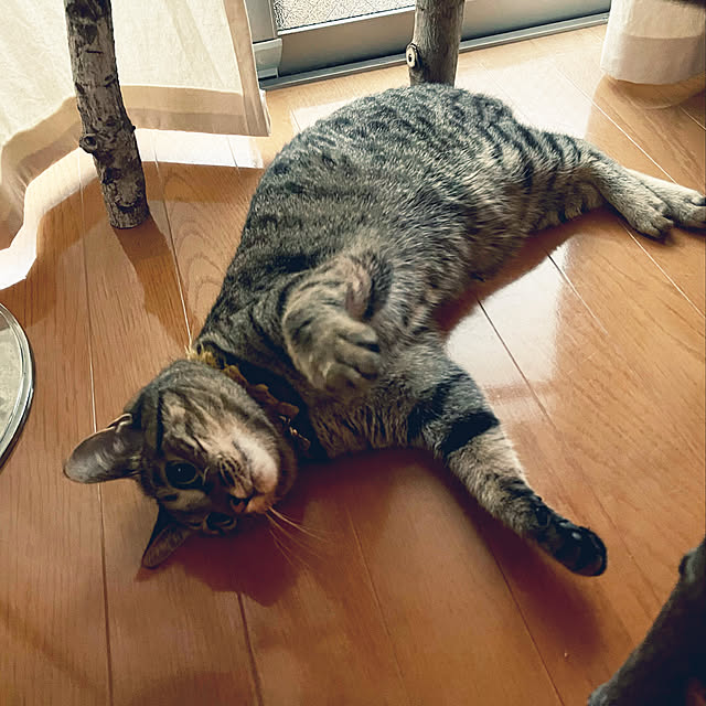 Mさんの実例写真
