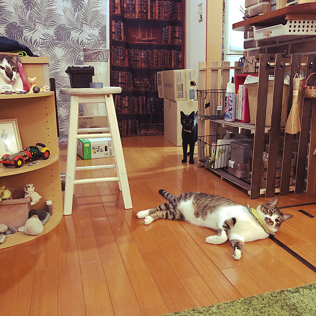 jijiさんの実例写真