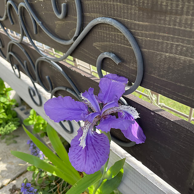 shiropenguinさんの部屋