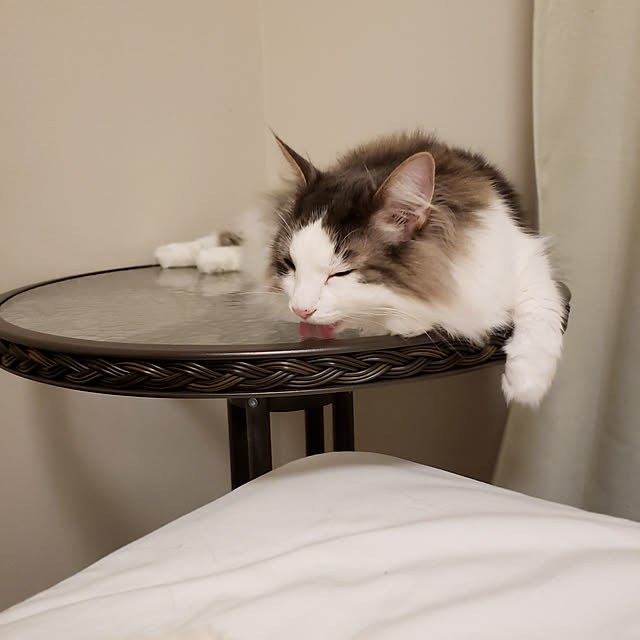 mofさんの実例写真
