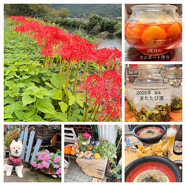 akaidarumaさんの部屋