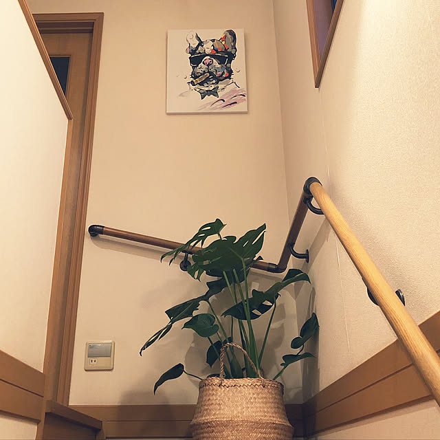 kuri1964jpさんの実例写真
