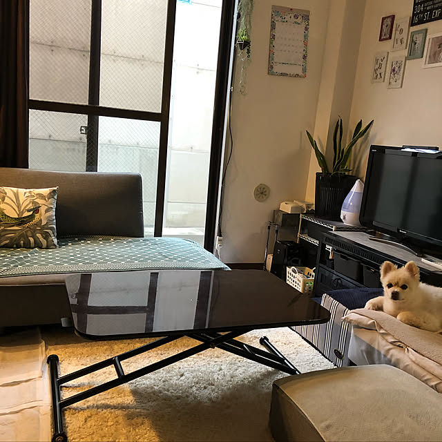 sacchiさんの部屋