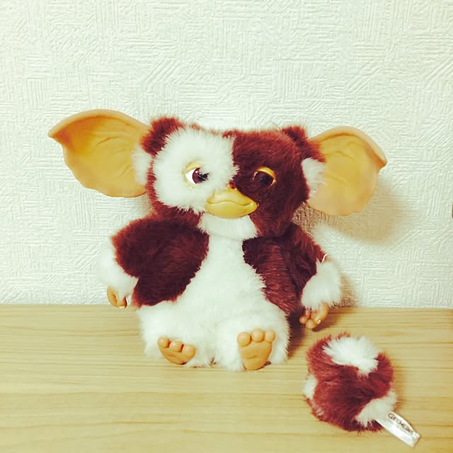 zzzさんの実例写真