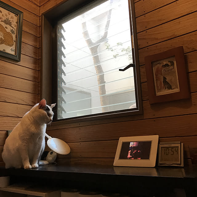 miseiさんの実例写真