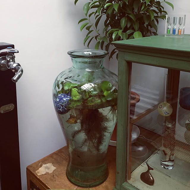 chacoさんの実例写真