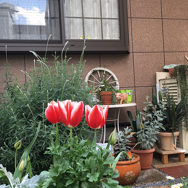 puriyuzuさんの実例写真