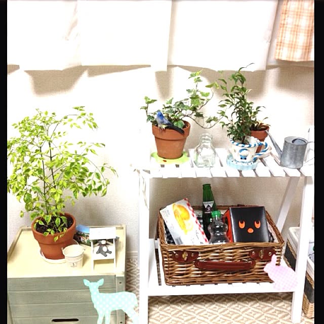 minaさんの実例写真