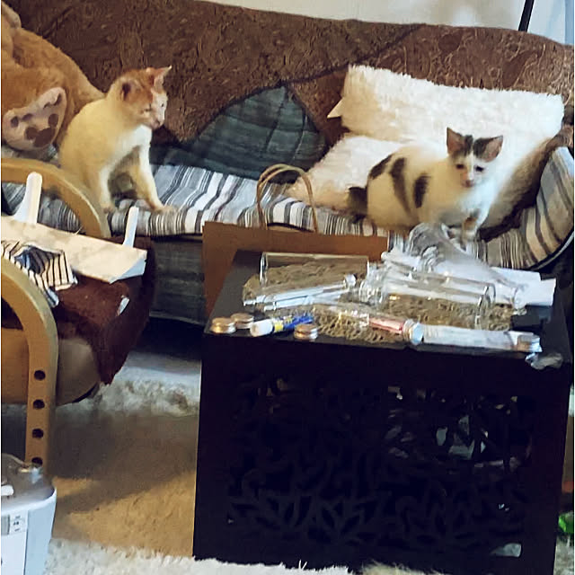 reeさんの実例写真