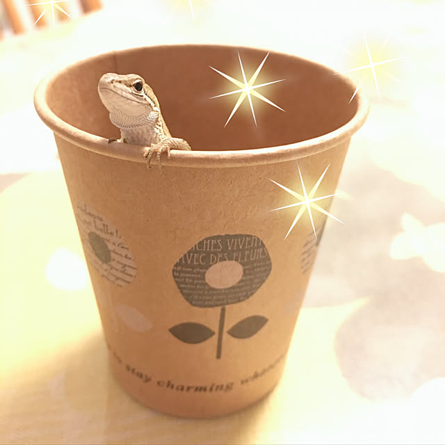oasisさんの実例写真