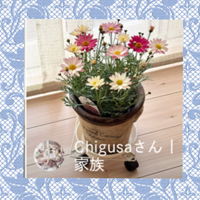 Chigusaさんの部屋