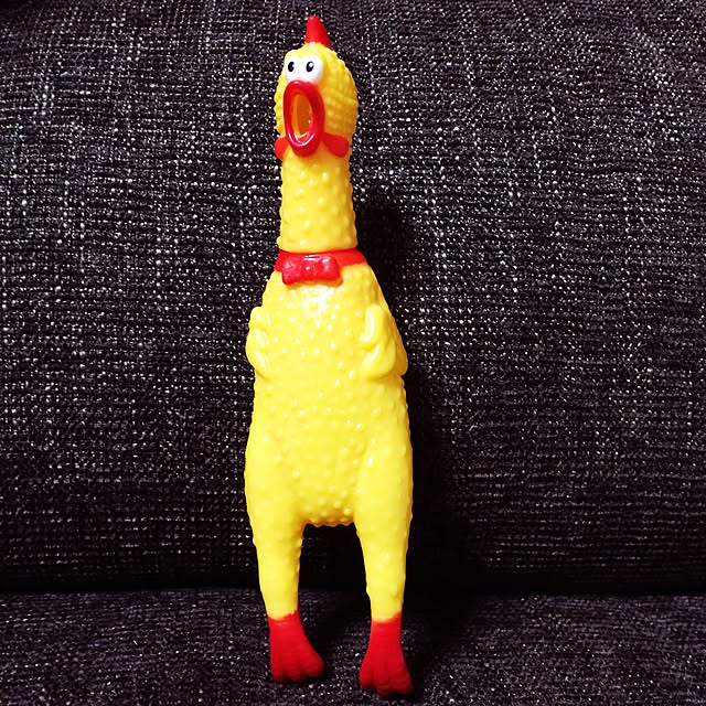 kikiさんの実例写真