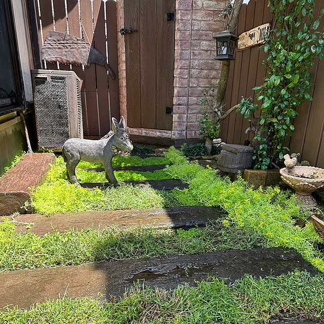 tabasaさんの部屋