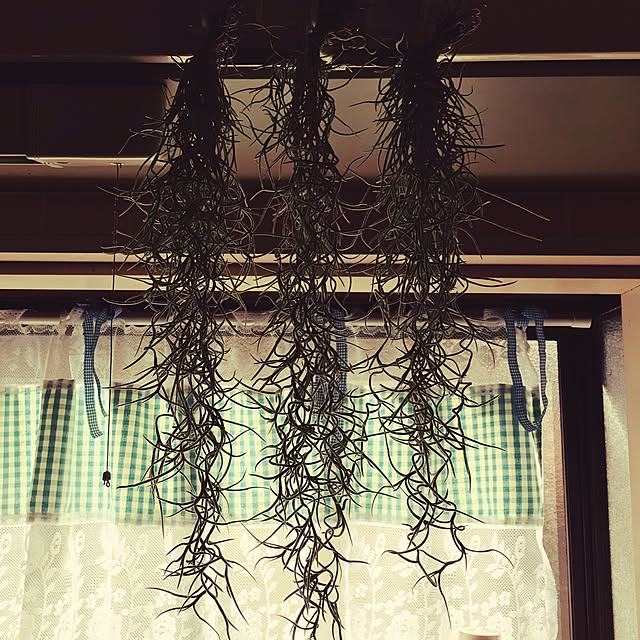 M.M.Rさんの実例写真