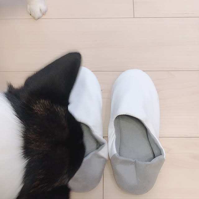 Ruiさんの実例写真