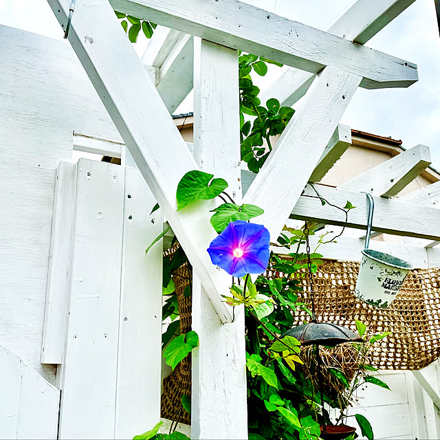 hanako0345さんの実例写真