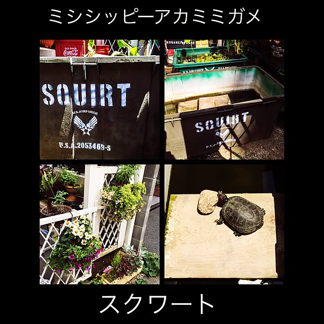 fundiveさんの実例写真