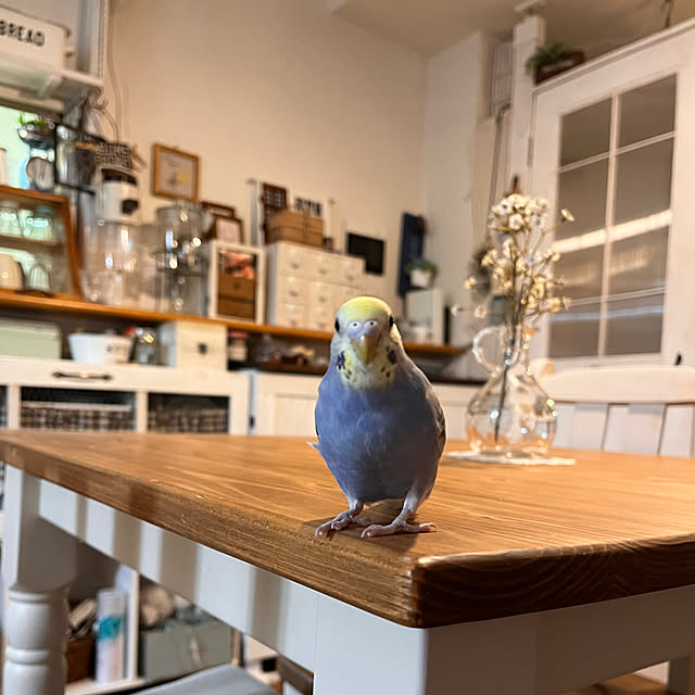 Atsukoさんの部屋
