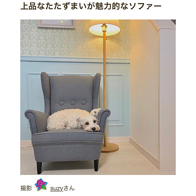 suzyさんの実例写真