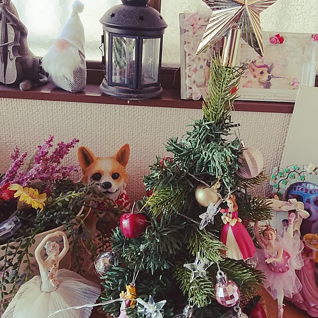 nemunemusakuraさんの実例写真