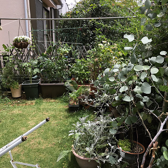 onokenkoさんの実例写真