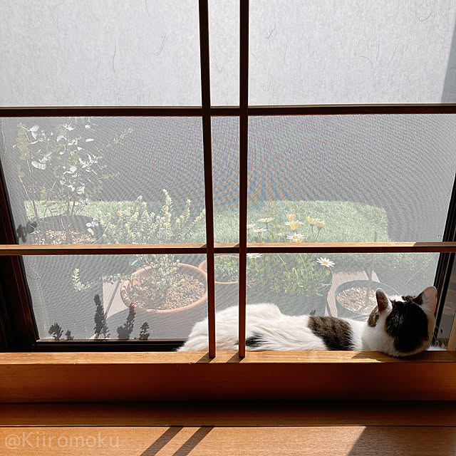 Kiiromokuさんの実例写真
