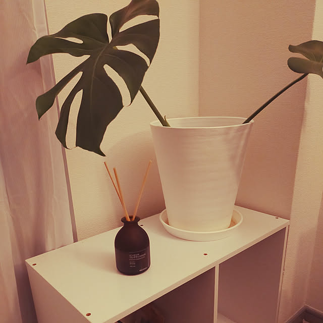 minimal_okinawaさんの実例写真