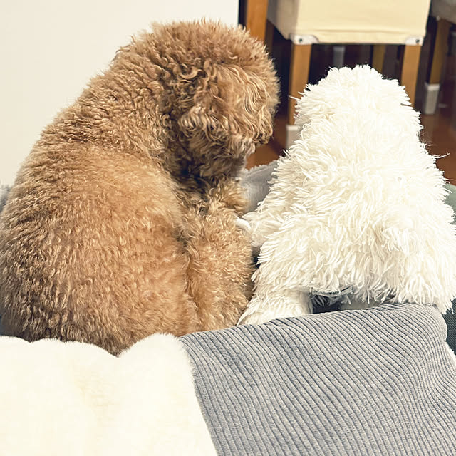 kawauso15さんの部屋