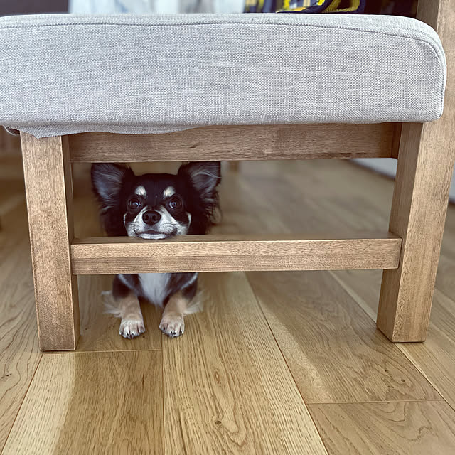norimarukoさんの実例写真