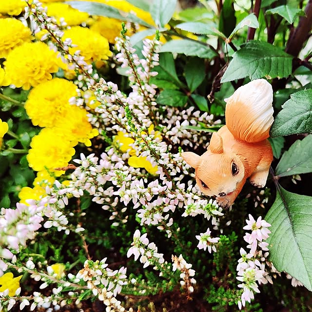 katさんの部屋