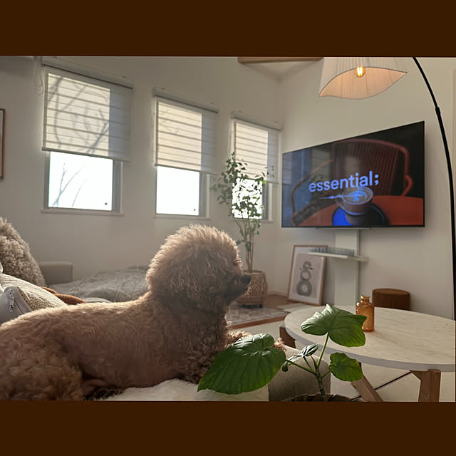 Tarutoさんの部屋