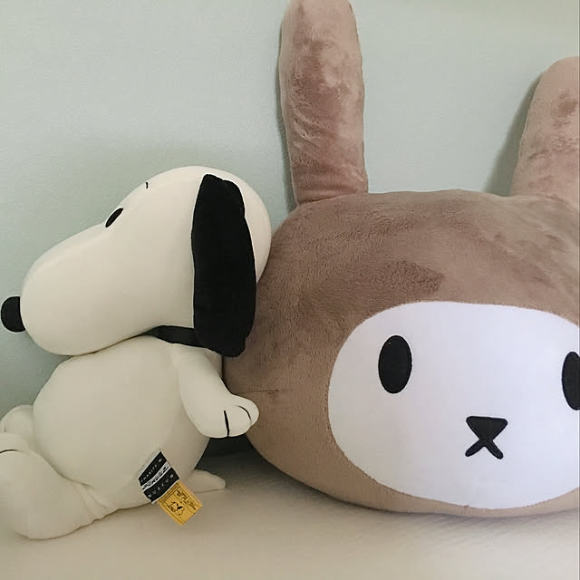 cocomomoさんの実例写真