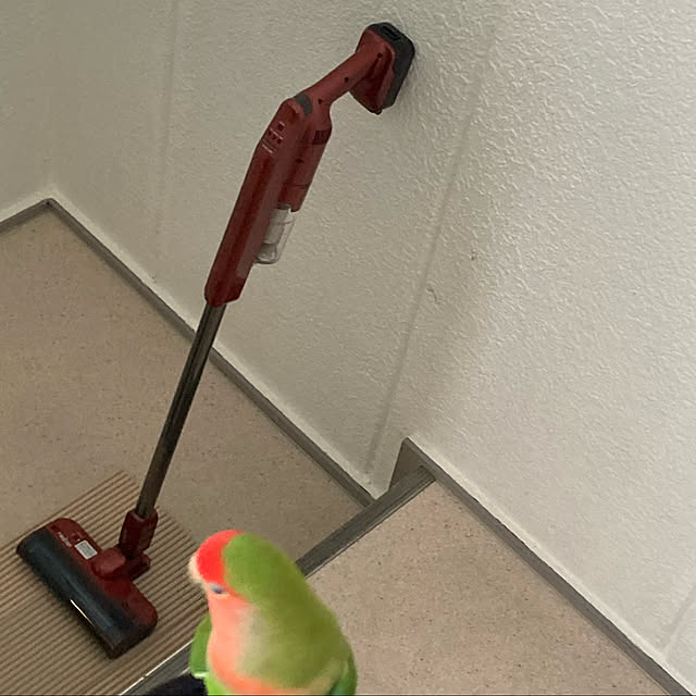 toratanさんの実例写真