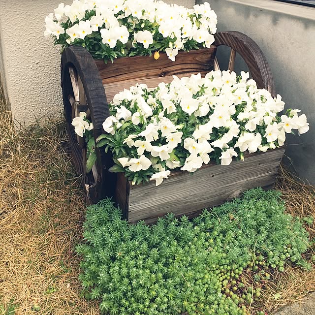 mikan0607さんの実例写真