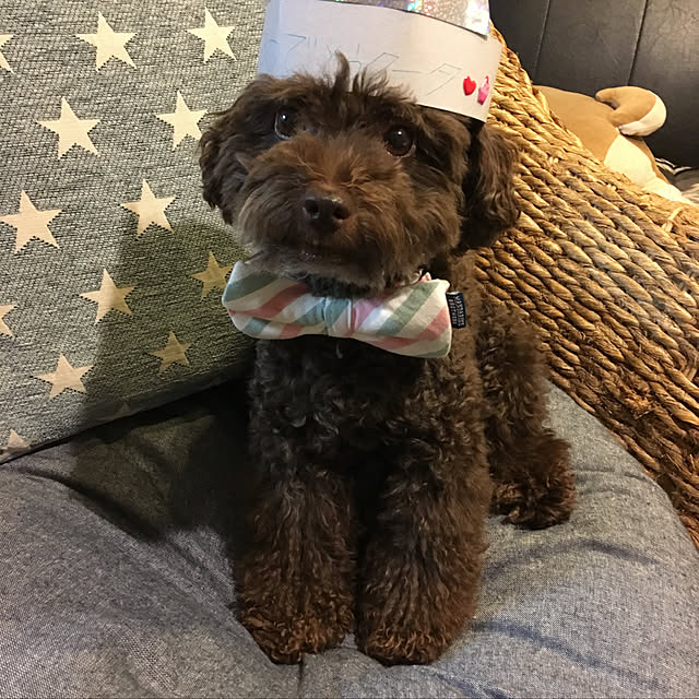 smilelifeさんの実例写真