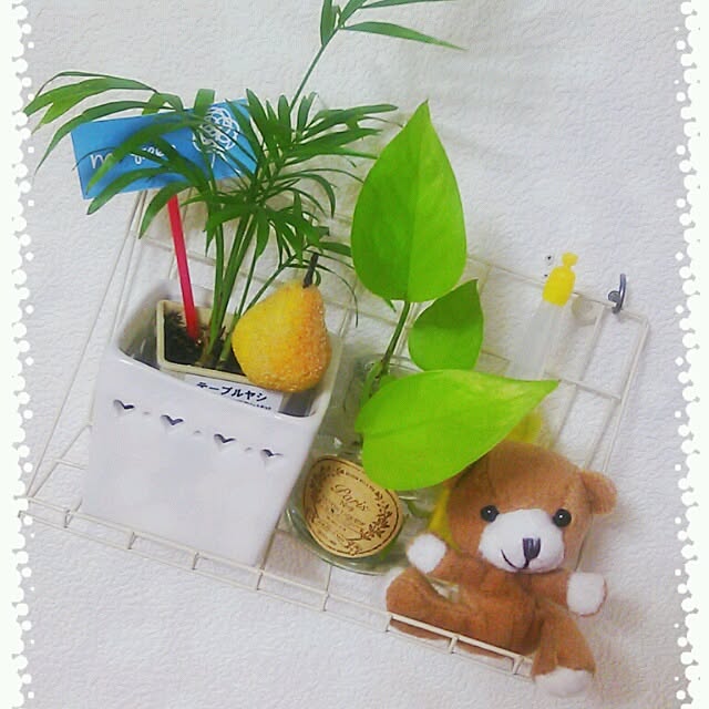 aynさんの実例写真