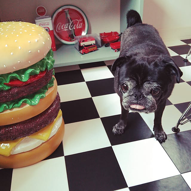 kuupugさんの実例写真