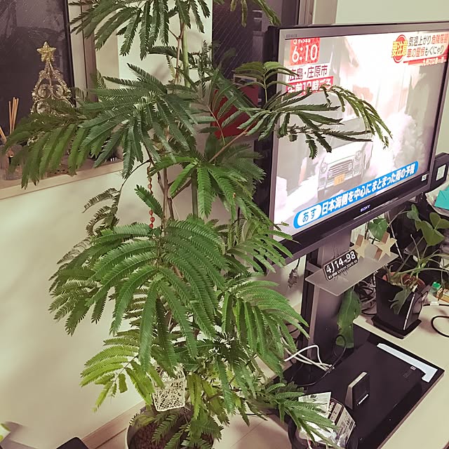 Rikopinさんの実例写真