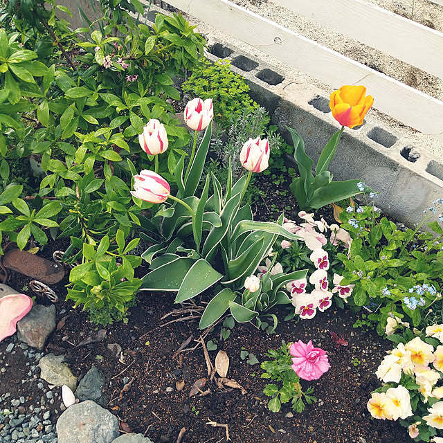 boston5757さんの実例写真