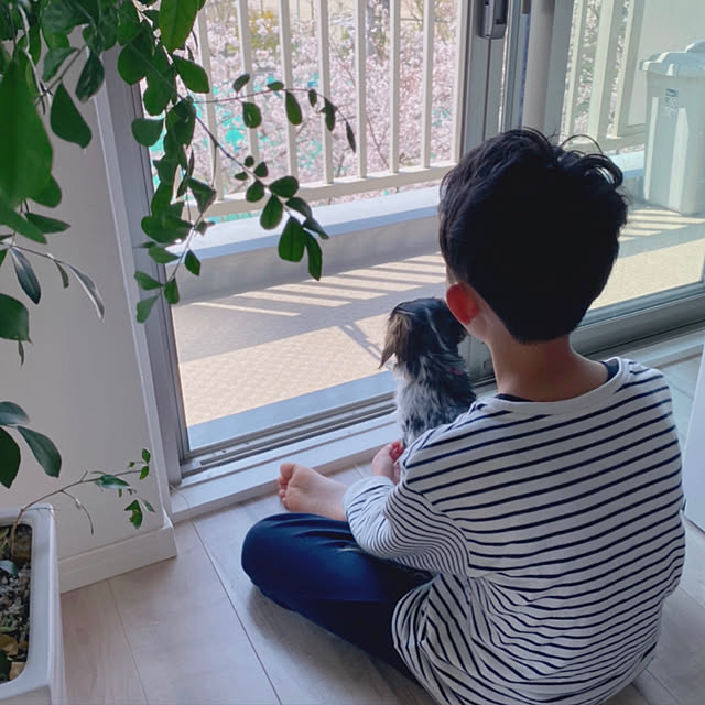 hnk2622さんの実例写真