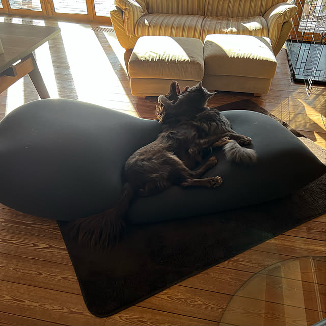 Kikko.さんの実例写真