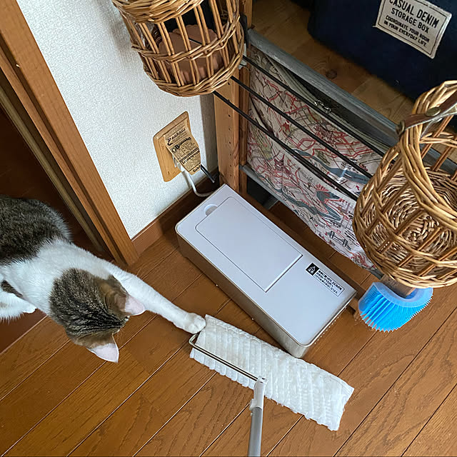 Lufuさんの実例写真